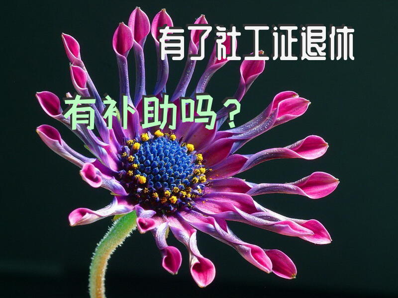 有社工证的退休开支会多吗？
