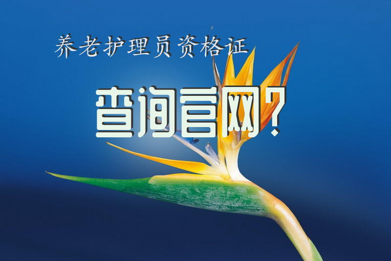 养老护理员资格证查询官网？