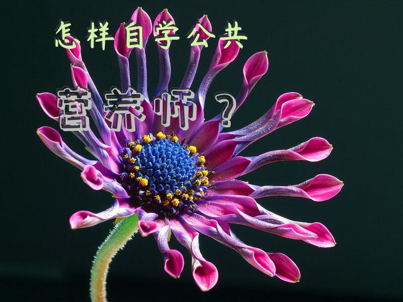 怎样自学公共营养师？杭州公共营养师培训哪里好