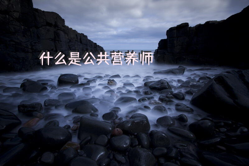 公共营养师是做什么的？