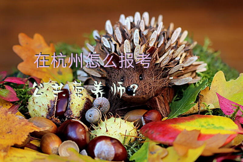 成都营养师考试