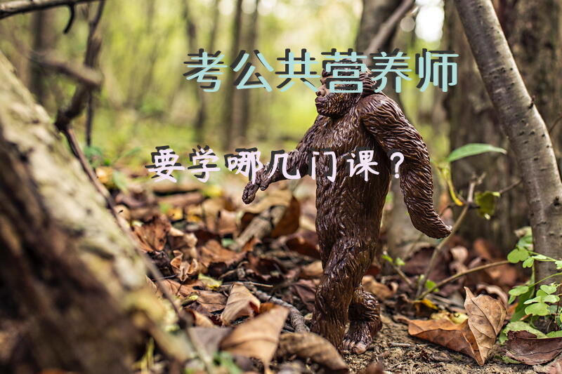 考公共营养师要学哪几门课？公共营养师有没有培训的正规机构，大神推荐一下