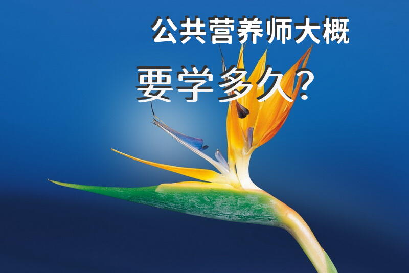 公共营养师大概要学多久？公共营养师培训一般多少钱知道的说说？