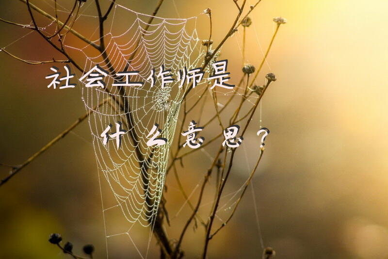交警是不是属于事业单位编制的公务员？要怎么报考？