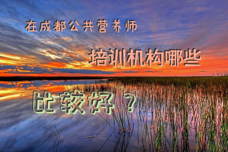 在成都公共营养师培训机构哪些比较好？