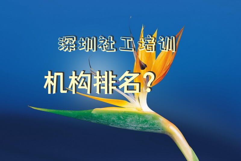 深圳社工培训机构排名？