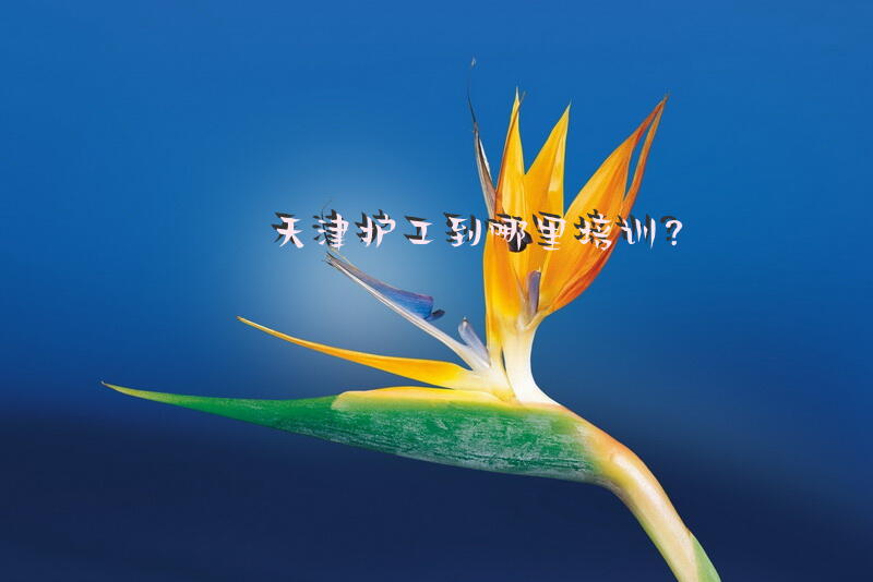 天津护工到哪里培训？