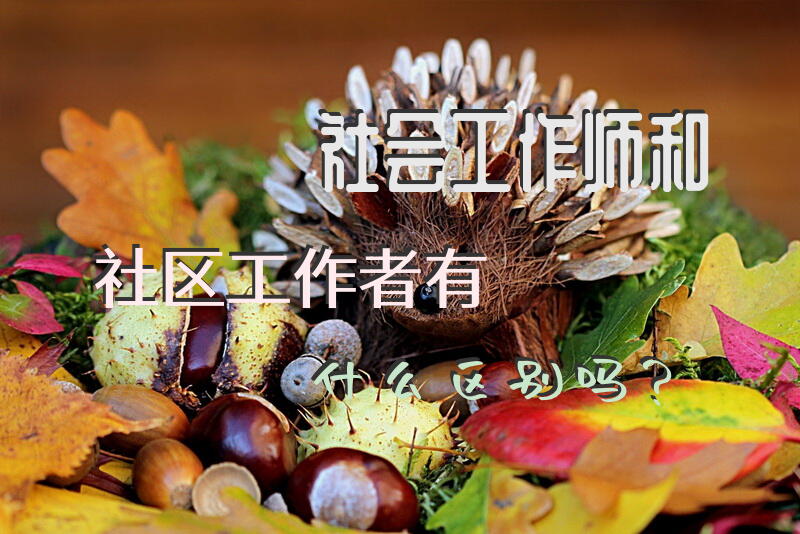 社会工作师和社区工作者有什么区别吗？