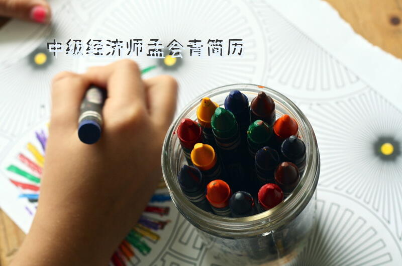 中级经济师孟会青简历