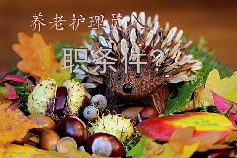 养老护理员入职条件？