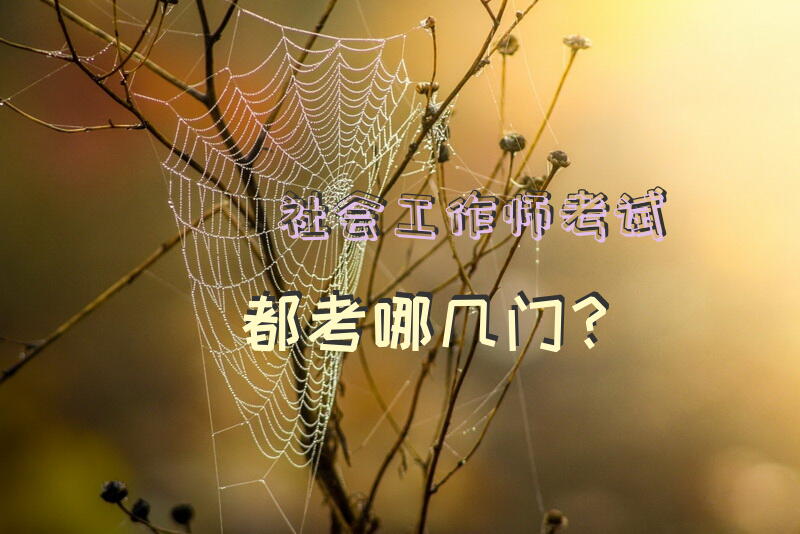 社会工作师考试都考哪几门？社工证报考费用？