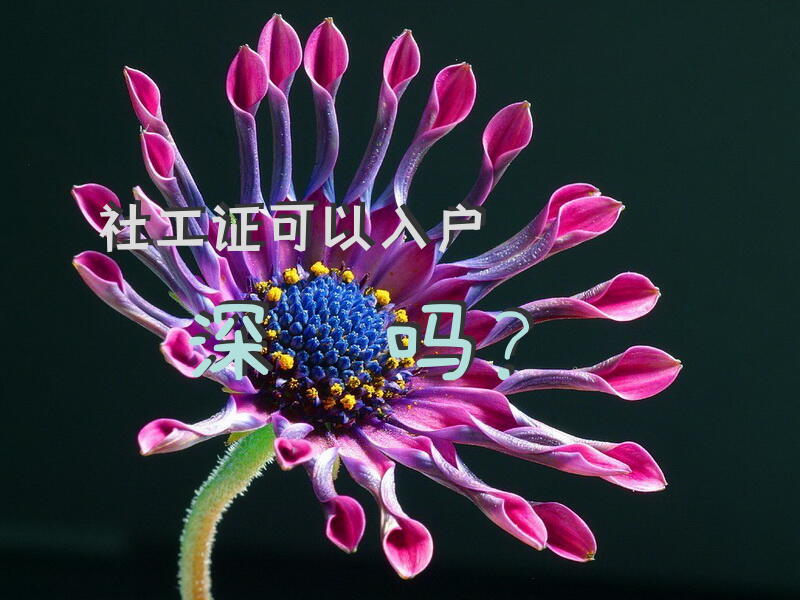 社工证可以入户深圳吗？