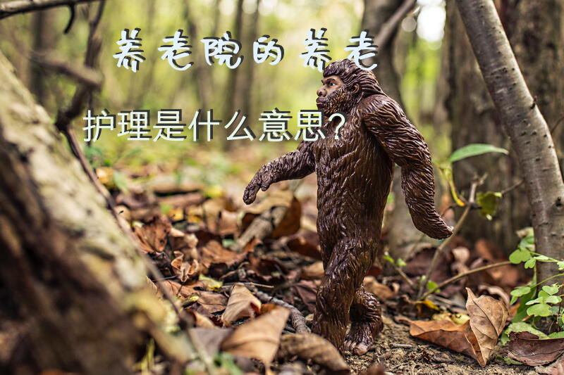 养老院的，养老护理是什么意思？