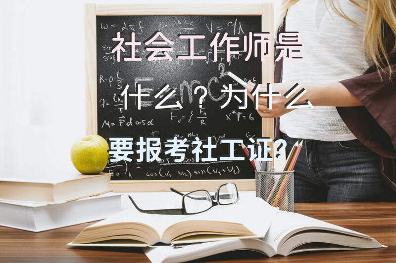 求一部美国动画片的名字？
