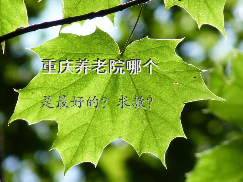 重庆养老院哪个是最好的？求教？