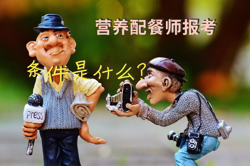 公共营养师和营养师的区别？