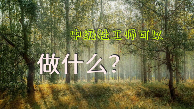 中级社工师可以做什么？