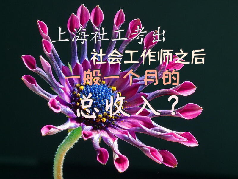 上海社工考出社会工作师之后一般一个月的总收入？社区工作者应分初级中级高级社工师进行分等的工资吗？