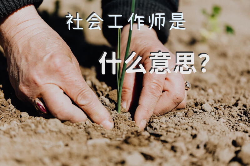 社工的真实现状？