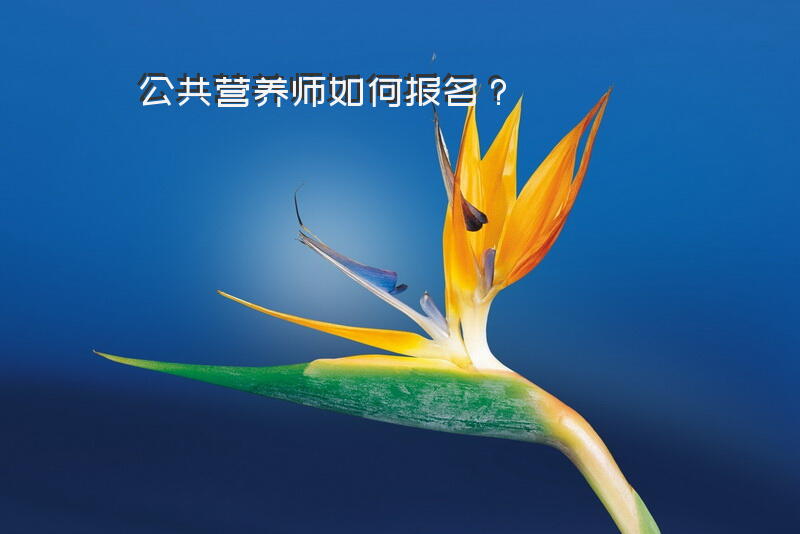 公共营养师如何报名？公共营养师怎么报考？