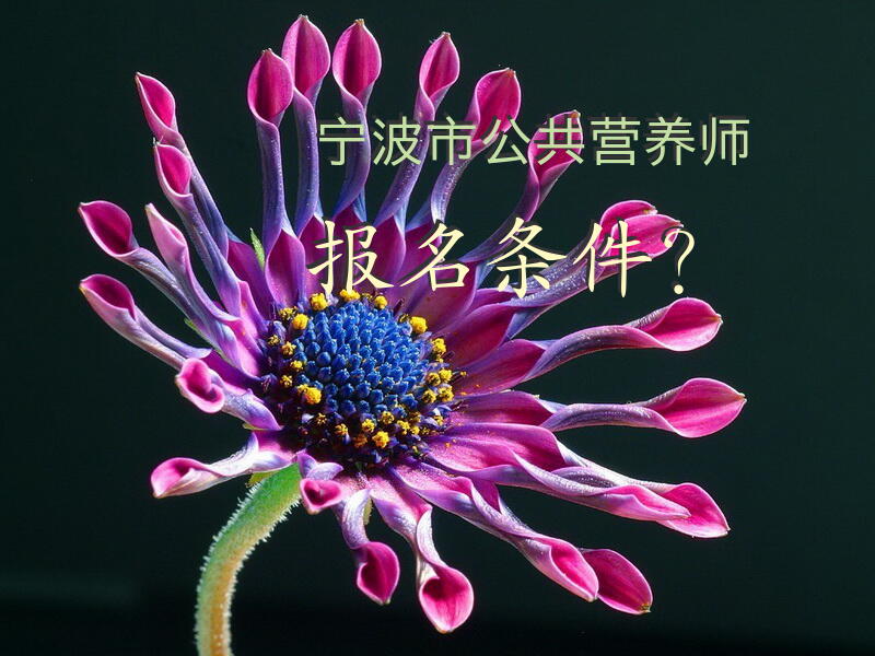 宁波市公共营养师报名条件？