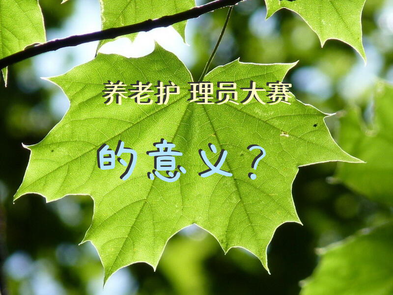 护理技能考试成绩怎么查？
