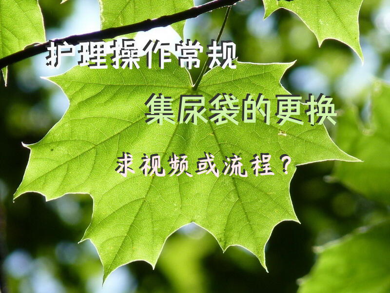 护理操作常规，集尿袋的更换，求视频或流程？