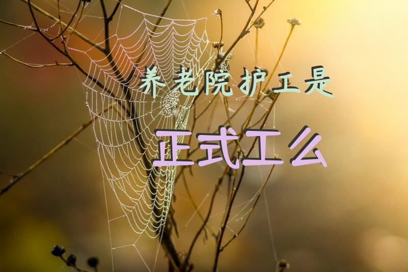 养老院护工是正式工么？