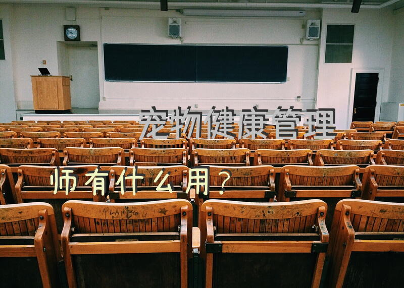 宠物健康管理师有什么用？