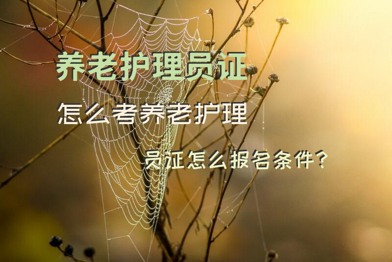 养老护理员证怎么考，养老护理员证怎么报名条件？中级养老护理员报考条件？
