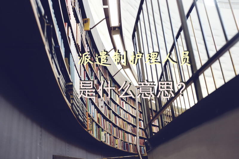 派遣制护理人员是什么意思？