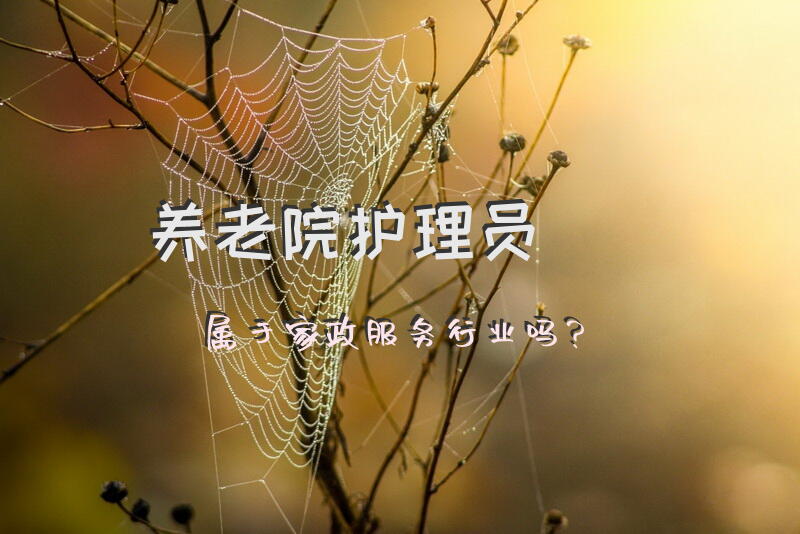 养老院护理员属于家政服务行业吗？