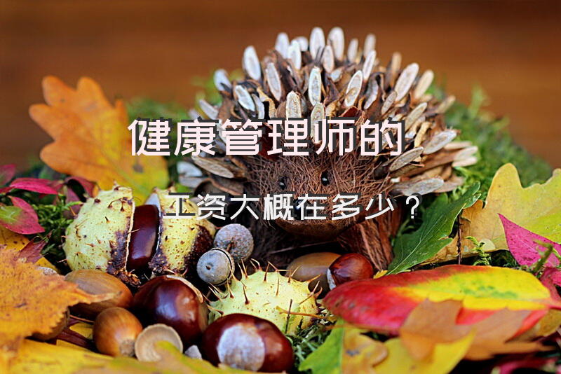 健康管理师的工资大概在多少？