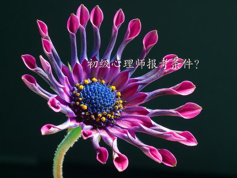 初级心理师报考条件？