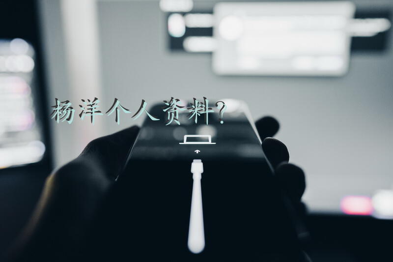 杨洋个人资料？
