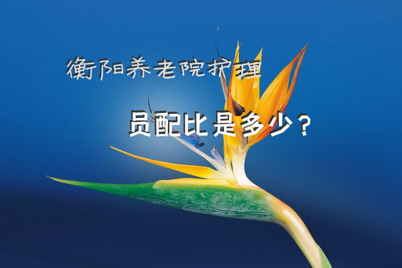 养老驿站行业规范？