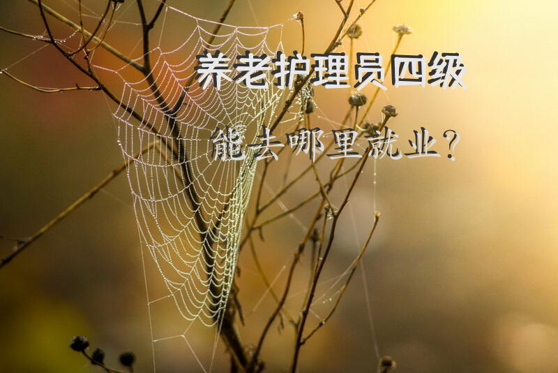 养老护理员四级能去哪里就业？怎么找护理老人的工作？