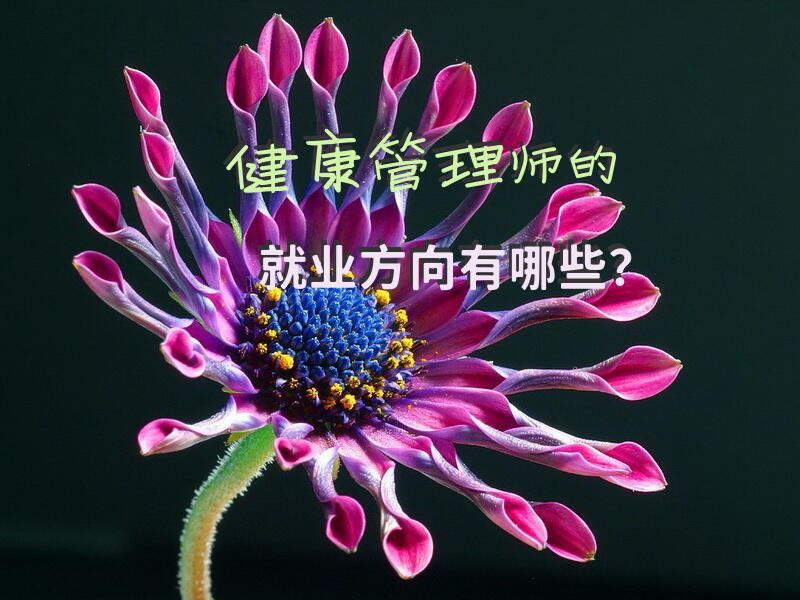 健康管理师的就业方向有哪些？