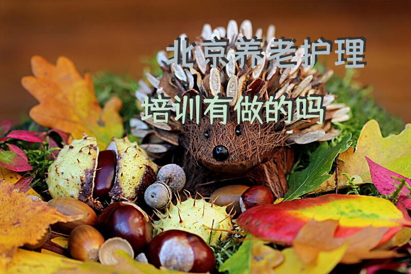 北京养老护理培训有做的吗？护理员培训方案？