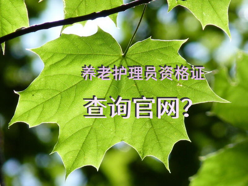 养老护理员资格证查询官网？养老护理职业资格证怎么查询？