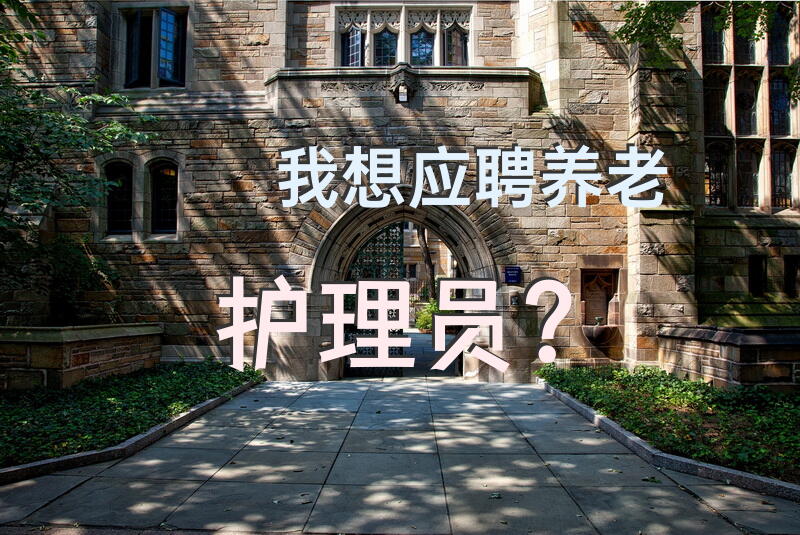 护理员招聘条件？