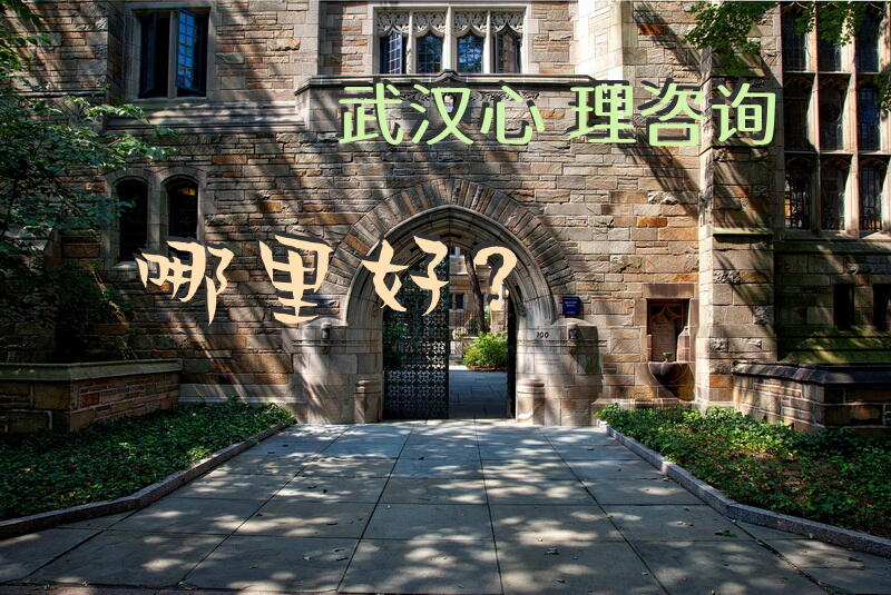 武汉心理咨询哪里好？