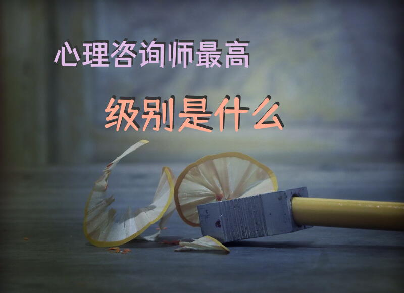 心理咨询师最高级别是什么？