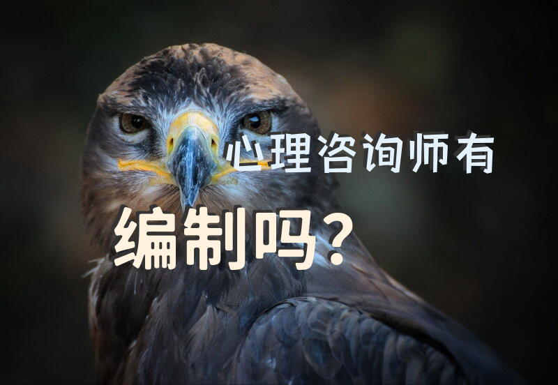 有教师证就能考心理咨询师？