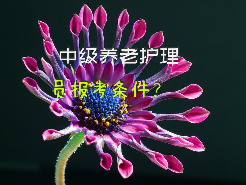 广州护工真实收入？