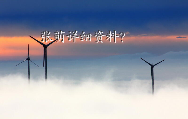 张萌详细资料？
