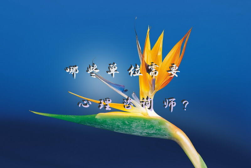 哪些单位需要心理咨询师？