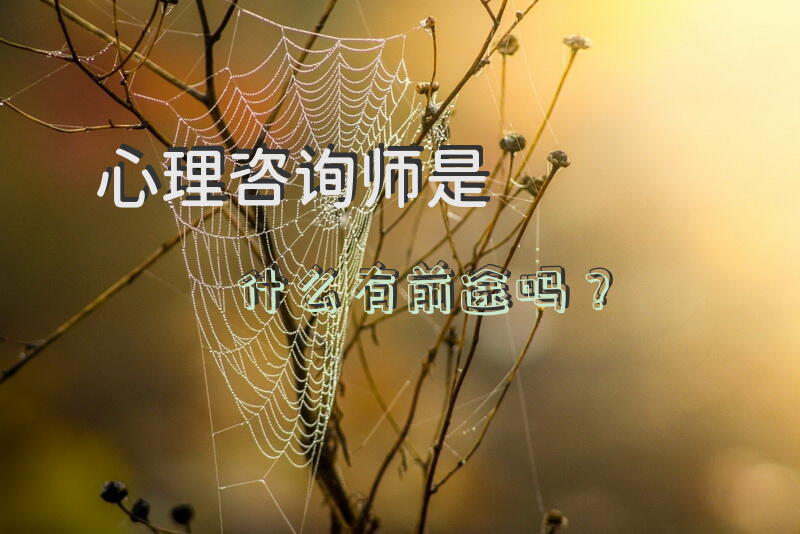 心理咨询师考试指定教材