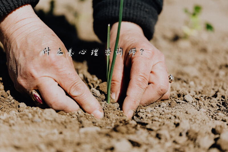 心理咨询师和情感咨询师的区别在哪？