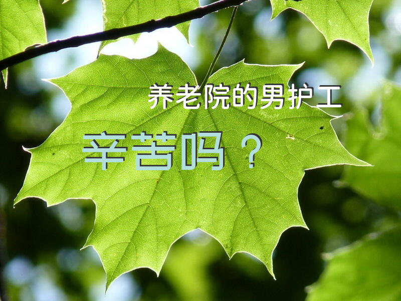 养老院的男护工辛苦吗？老年公寓的护工应该做些什么？
